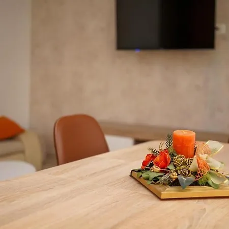 Branka Apartment *